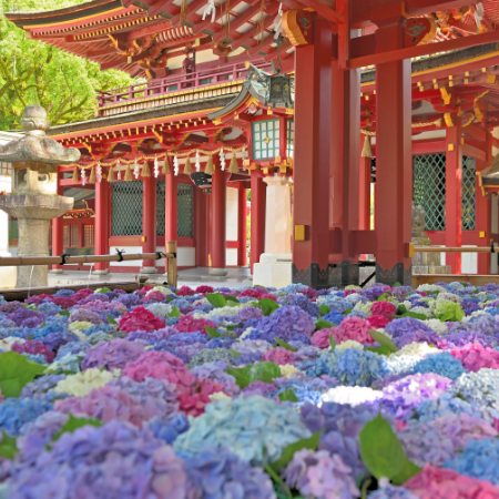 大宰府の写真です